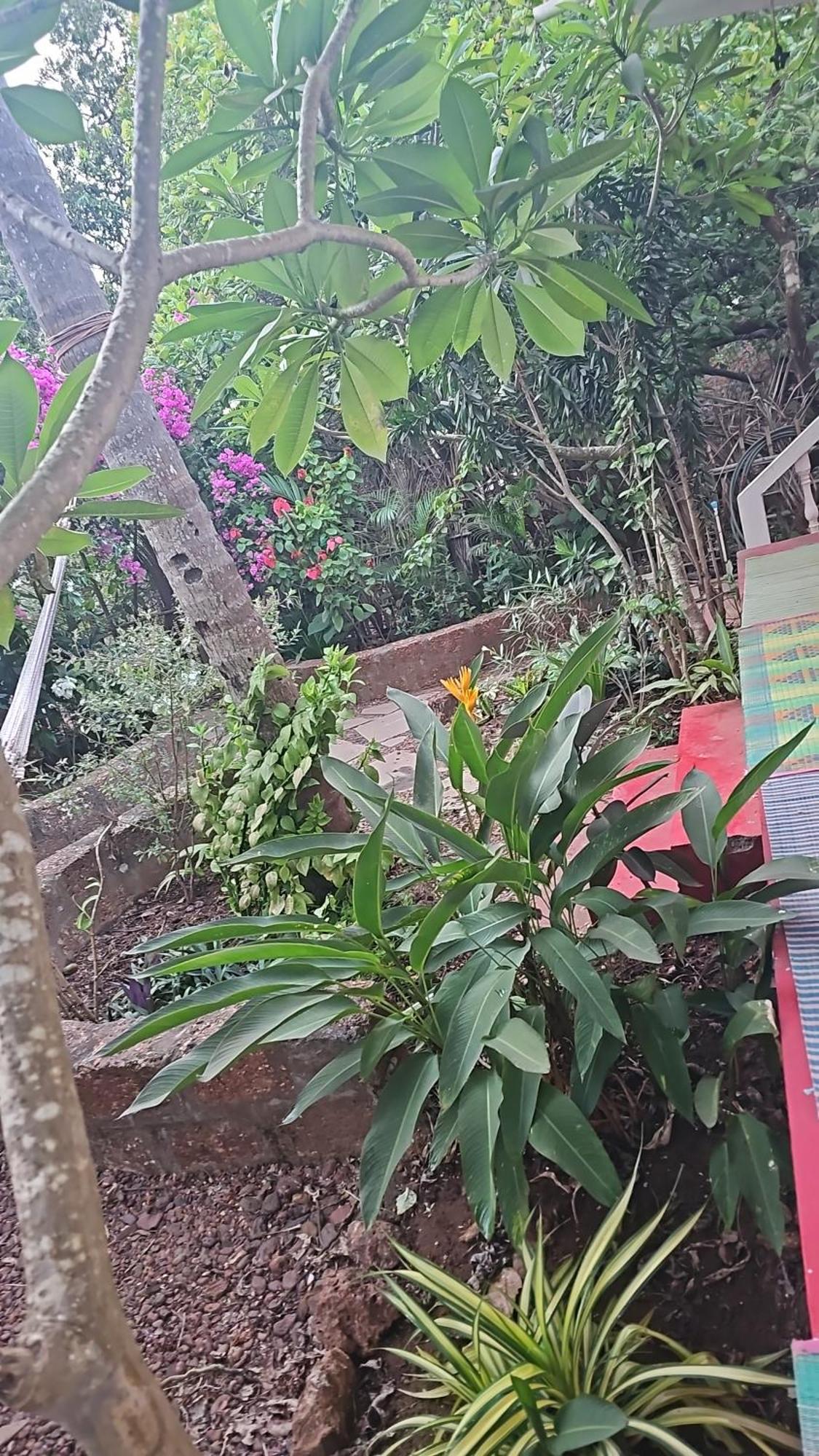 Laxmi Happy Home In Querim Goa Eksteriør billede