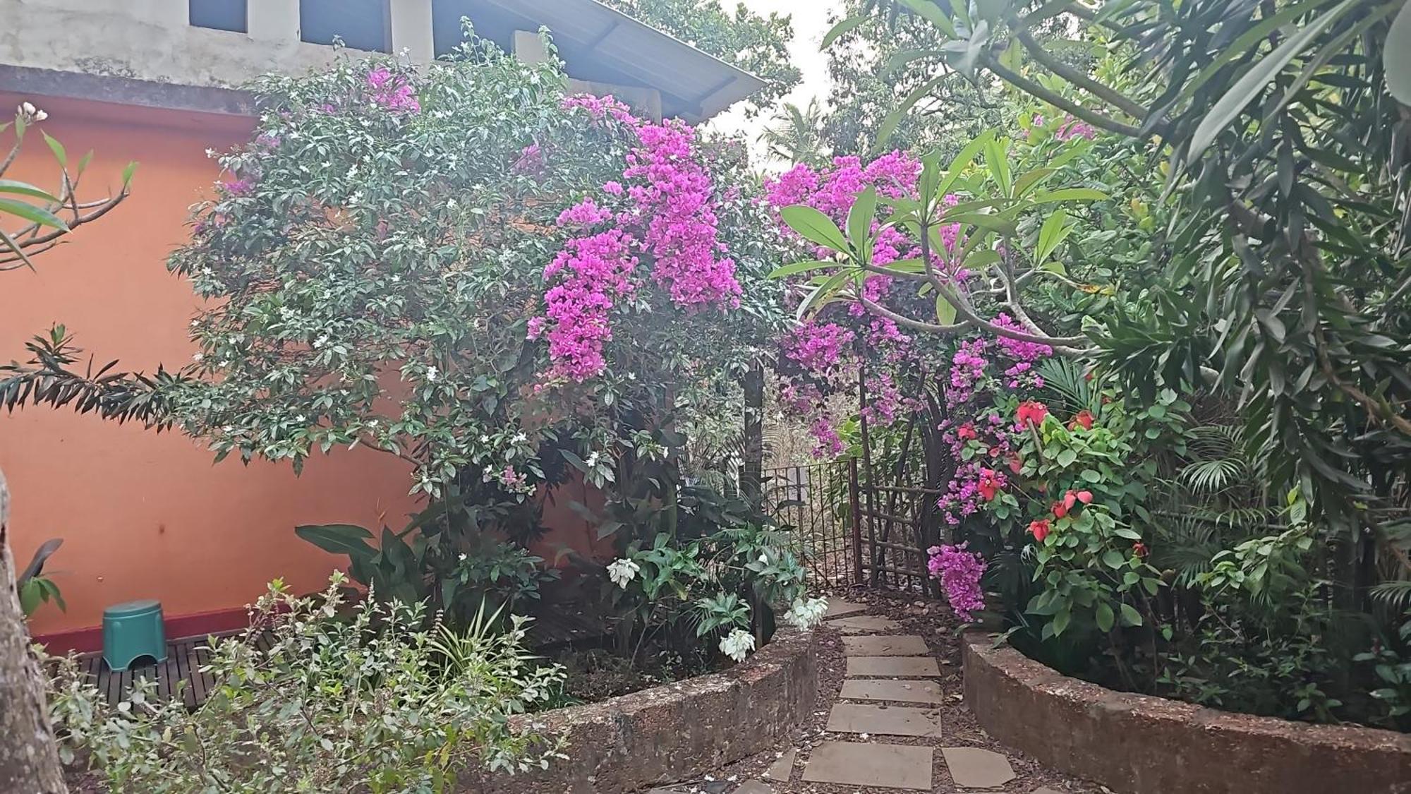 Laxmi Happy Home In Querim Goa Eksteriør billede